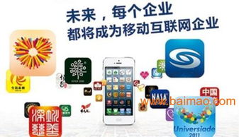 廣州云納信息 專業(yè)企業(yè)APP開發(fā)與網(wǎng)絡信息安全軟件開發(fā)服務